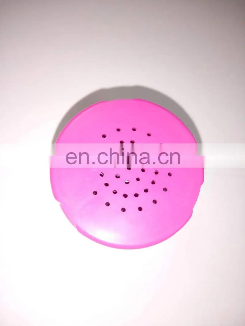 Customizable color and packaging of mini voice recorder module