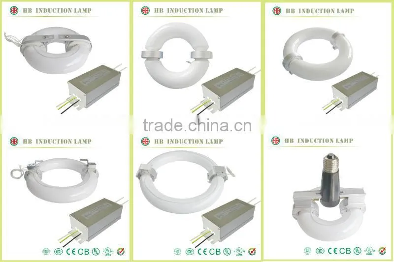 40-400W induction light induction induction high bay light 300 watt