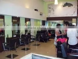 2-6mm aluminum coated mirror glass/bathroom mirror curved glass