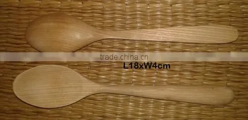 Rice Spoon V-RS07