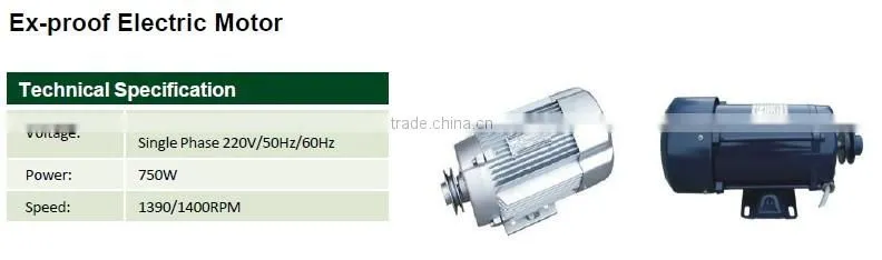 Ex-proof electric motor for fuel dispenser