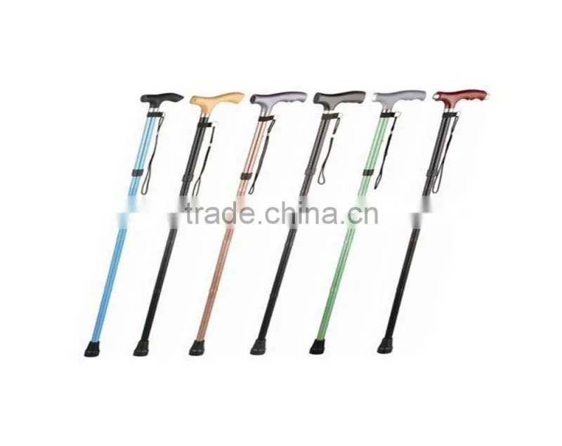 Walking Stick