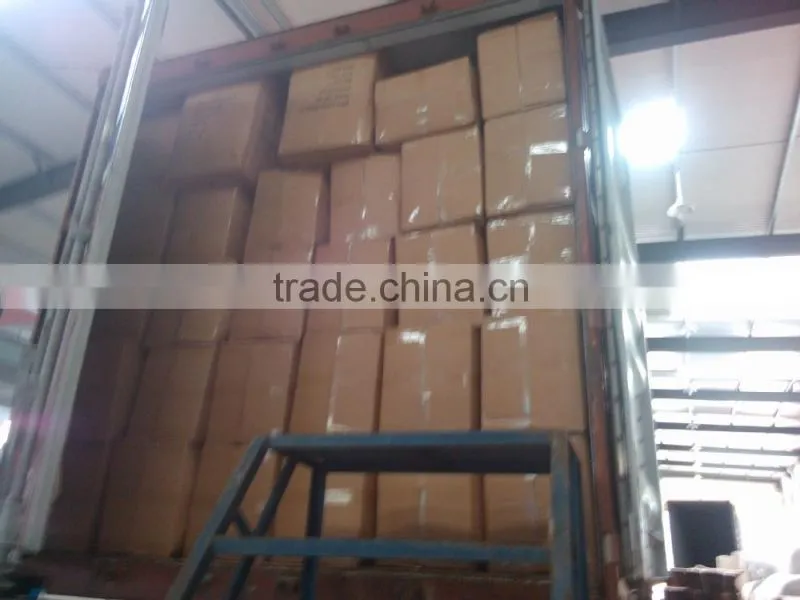 exported to america, germany PEVA car cover with good quality and competitive price