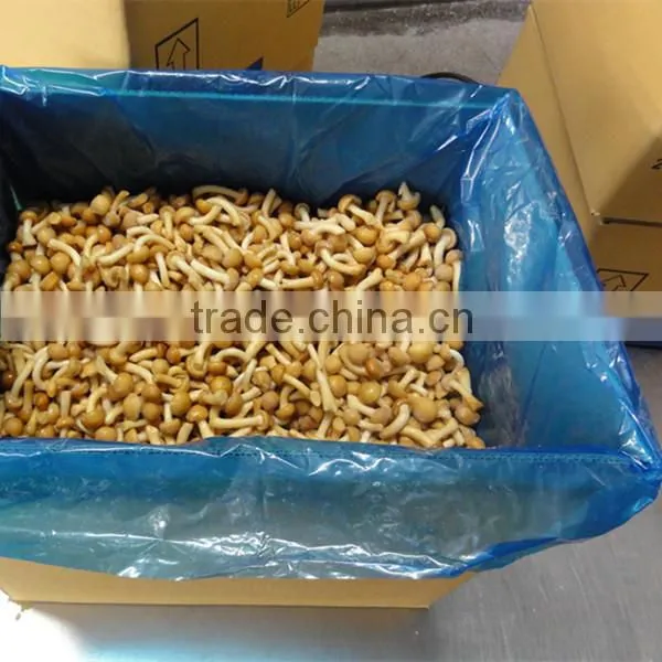 Iqf Frozen Nameko