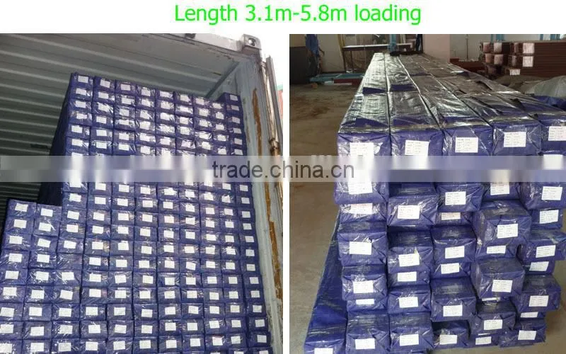 Exceeded Expectations swimming pool tile
