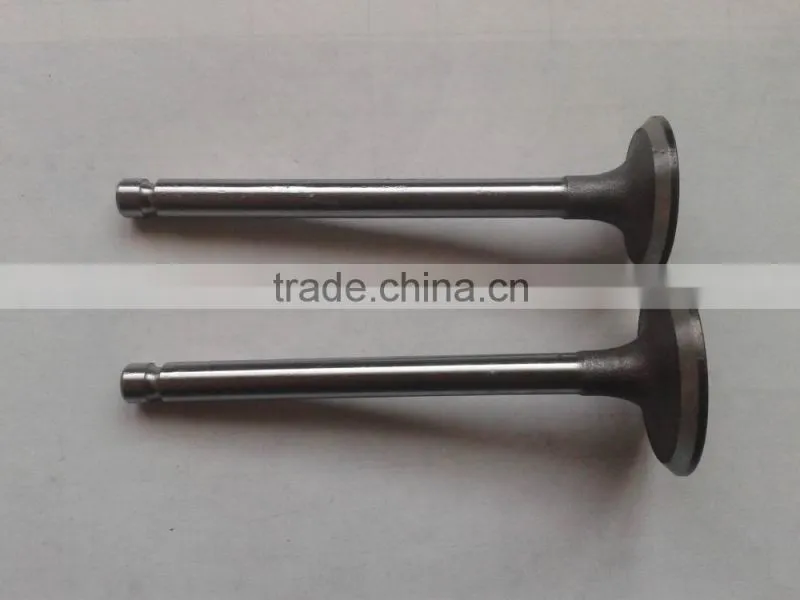 cheap price walking tractor Z170F engine valve for diesel engine