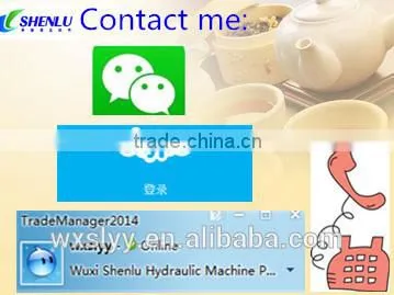China professional manufactured hydraulic cylinder for forklift