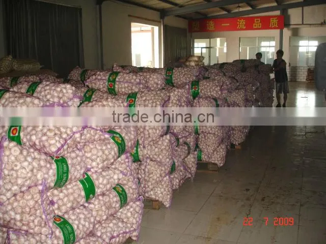 chinese new garlice price