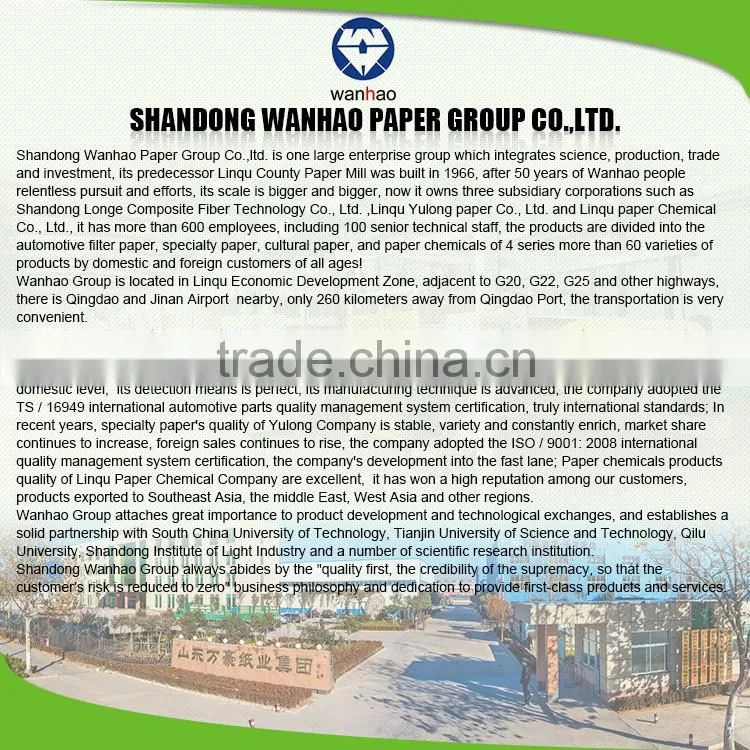 China supplier wood pulp automotive fuel filter paper