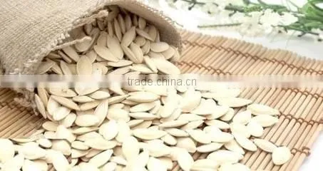 Roasted Salted Shin Skin Pumpkin seeds