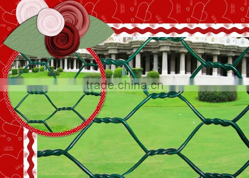 pvc hexagonal green plastic wire netting