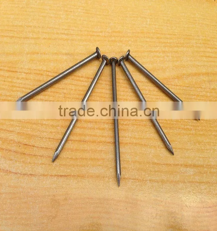 common nail/ common wire nail/common iron nails