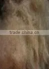 home Cattail pillow textile