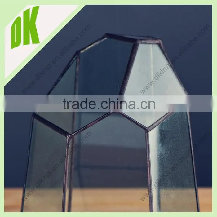 it`s fragile and afraid of hard sun light or big amount of water//geometric glass air plants tillandsia terrarium