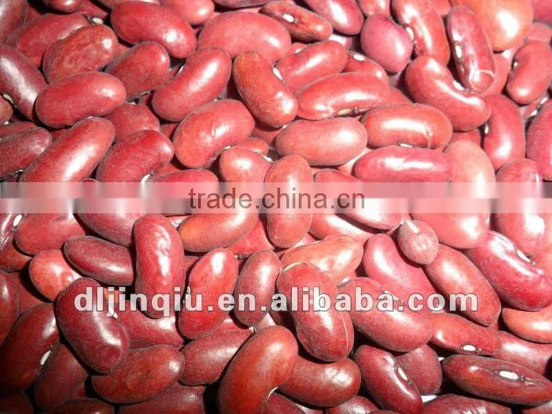 dark red kidney bean 2012 crop
