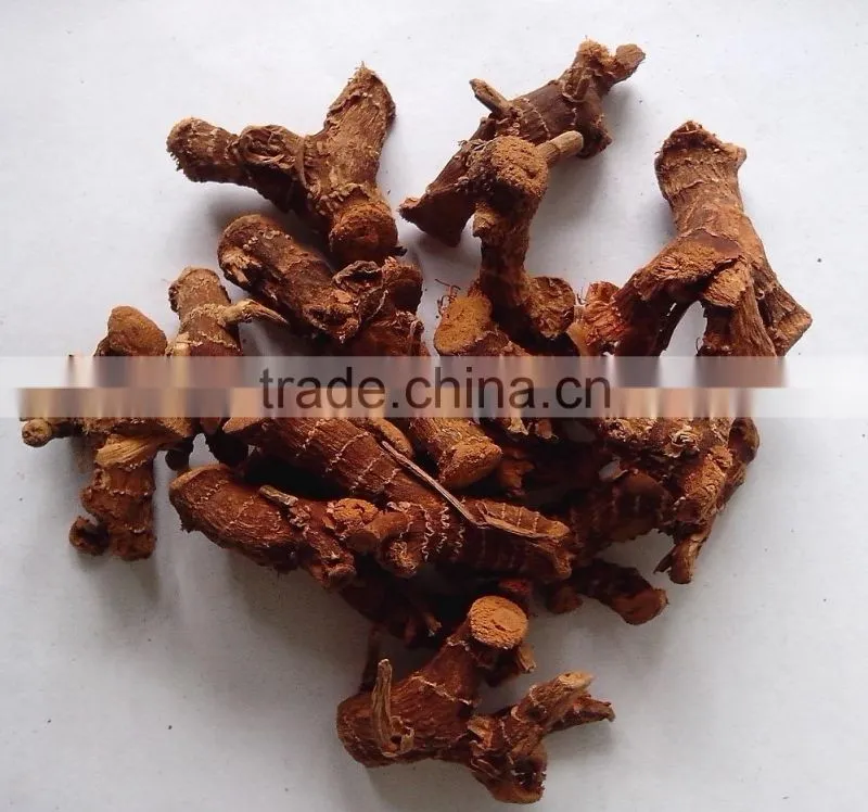 new crop air dried galangal root spice herb