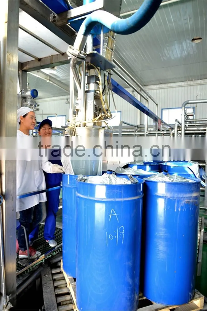 canned tomato paste 28-30% price canned tomato paste