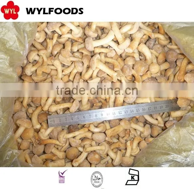 IQF mushroom grade B nameko wholesale price