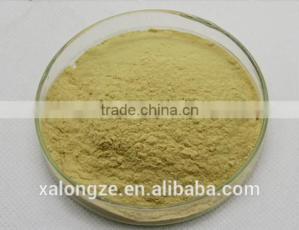 High-quality Fruit and Vegetable Instant Freeze Dried/Spray Dried peach Fruit Powder