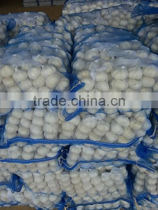 Garlic Dehydrated Manufacturers Garlic Flakes Air Dried White Dried Garlic Flakes from Factory Low Price Garlic Sliced