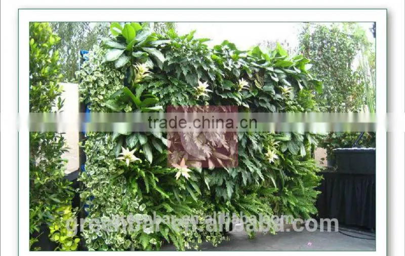 Hanging vertical garden green wall planter
