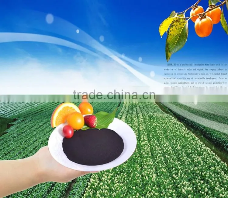 Presale 2017 high purity Seaweed extract
