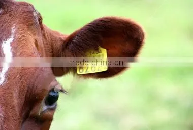 Printable UHF RFID Animal Ear Tag TPU material cattle ear tag