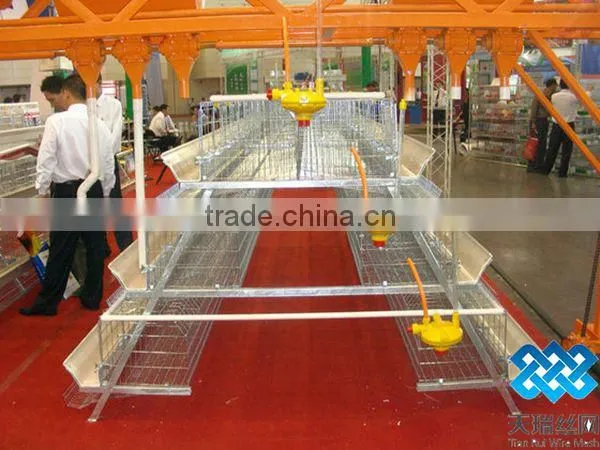 Chicken Cages/layer Chicken cage