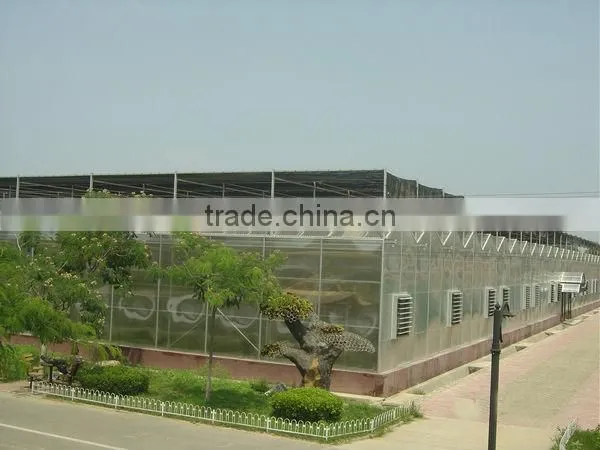 Fully Opened Roof PC Sheet Greenhouse