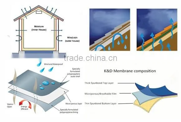 specialized factory OEM waterproof breathable membrane