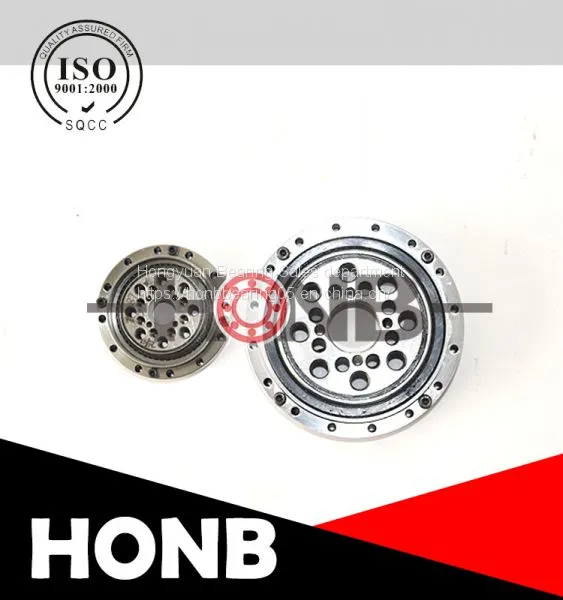 Harmonic and robot bearing