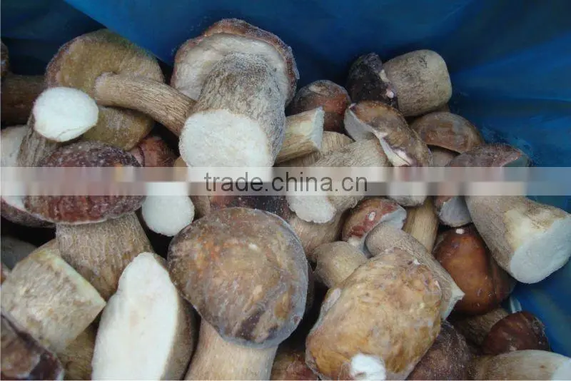 Frozen Boletus Edulis, Whole, grade A, 6cm up