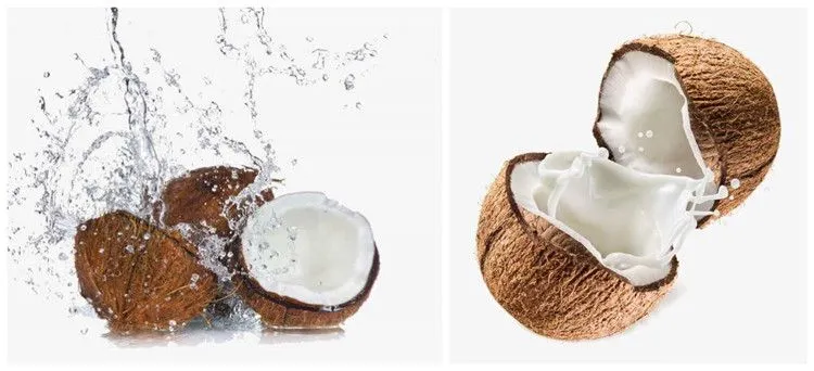 High Speed Coconut Cream Processing Machine
