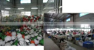 Dongkou Changguanlong Sporting Goods Co., Ltd. company overview - view 2