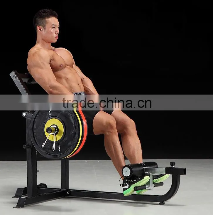 AB & Back Machine / Gym Equipment/ Rack