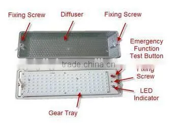 ip65 weather proof 8~12W Led bulkhead lamp with emergency and motion sensor
