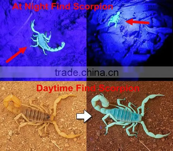 9 led 365nm uv flashlight for detecting fluorescer in cosmetics and baby stuff, Counterfeit Banknotes, Minerals, diamonds