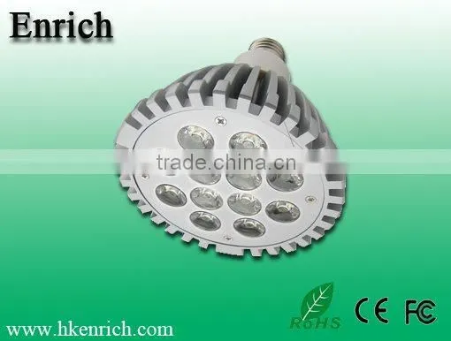 LED Par Light