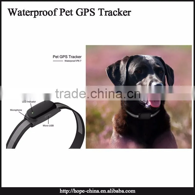 Most popular animal gps tracking device,gps dog collar,cat collar gps tracker