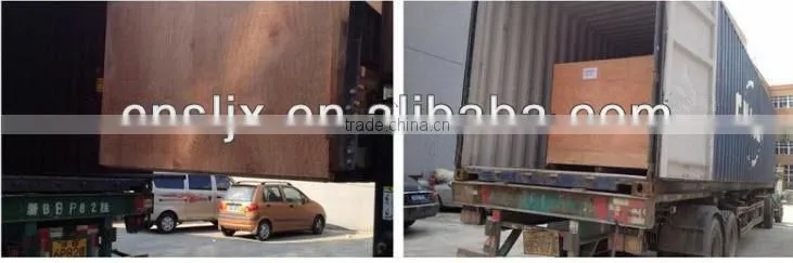 CE Standard Automatic Plastic Cup Lid Forming Machine,plastic cup lid making machines