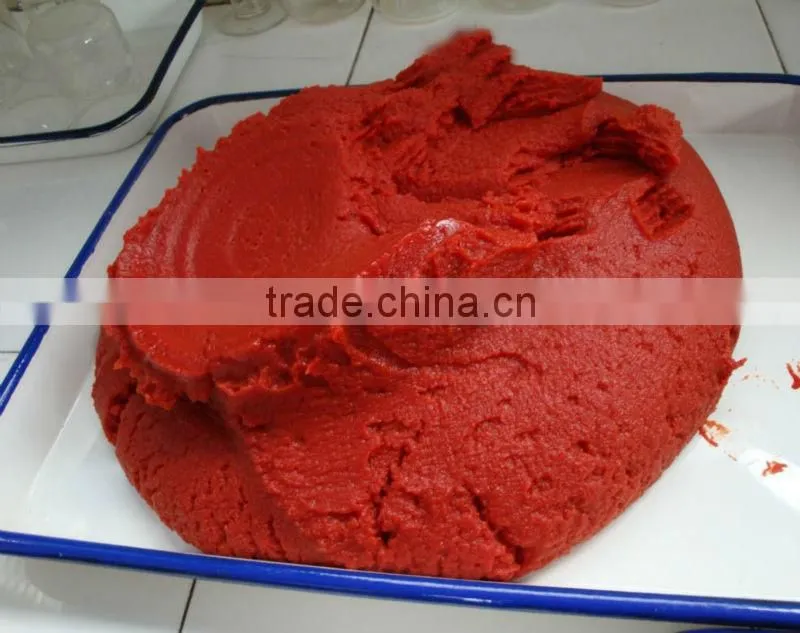Canned Tomato Paste in Can