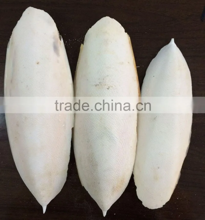 hai piao xiao dry bone ground cuttlebone