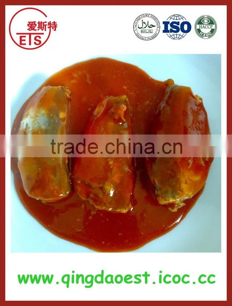 Jinxiang fresh best price normal white garlic on sale