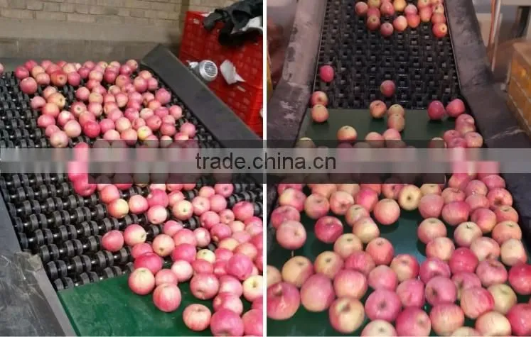 TOP SELLING!! Cheap Prices 2015 qinguan apple with good price
