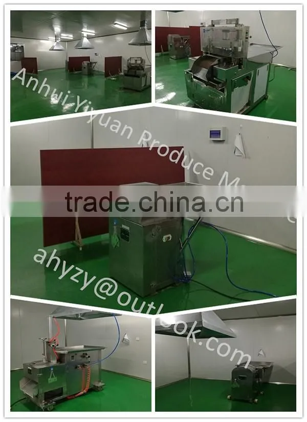 Bitter apricot kernel medicine from Gansu of China