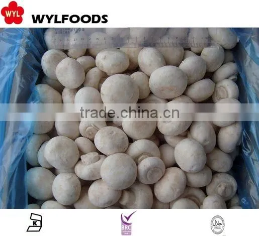 IQF china price for frozen Champignons whole 2015 high quality