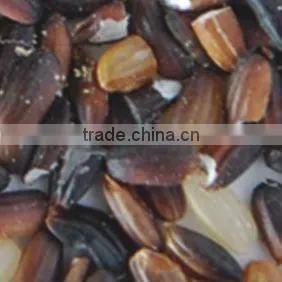 rice color sorting machinery