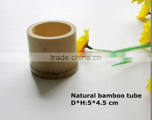 Disposable natural bamboo cup