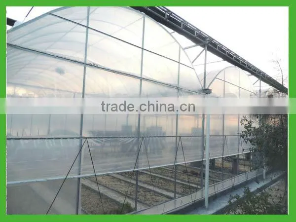 multi span green house from big greenhouse manufacturer in China
