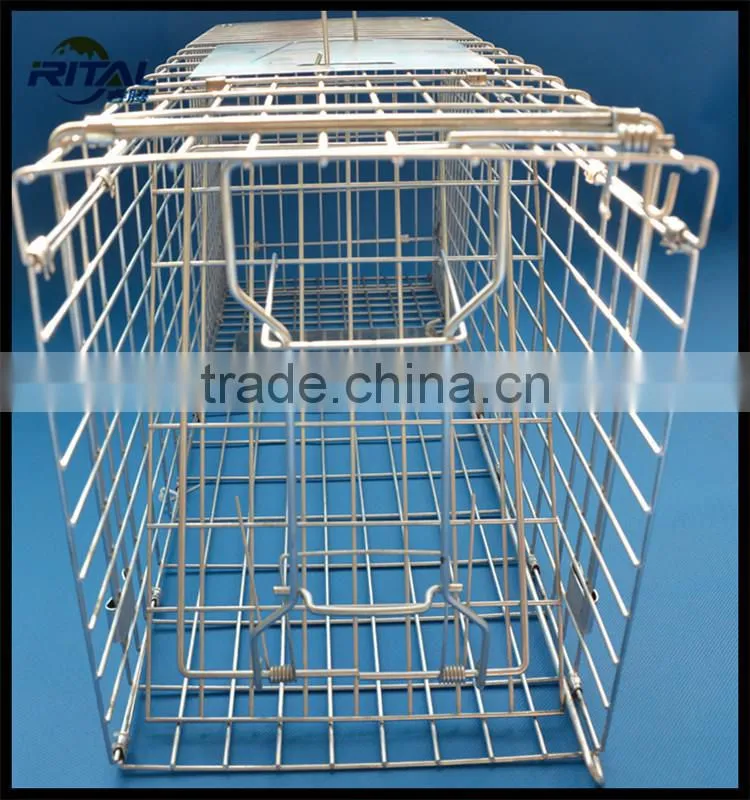 Galvanized Coon Live Cage Trap for Trapping Coon